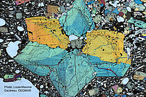 Dünnschliff aus einer Gesteinsprobe vom Conical Seamount vor Papua-Neuginea, die 2002 während einer SONNE-Expedition geborgen wurde. 