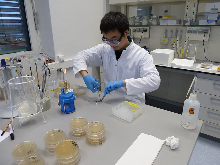 Bicheng Fan im Labor. Foto: Johanna Silber 