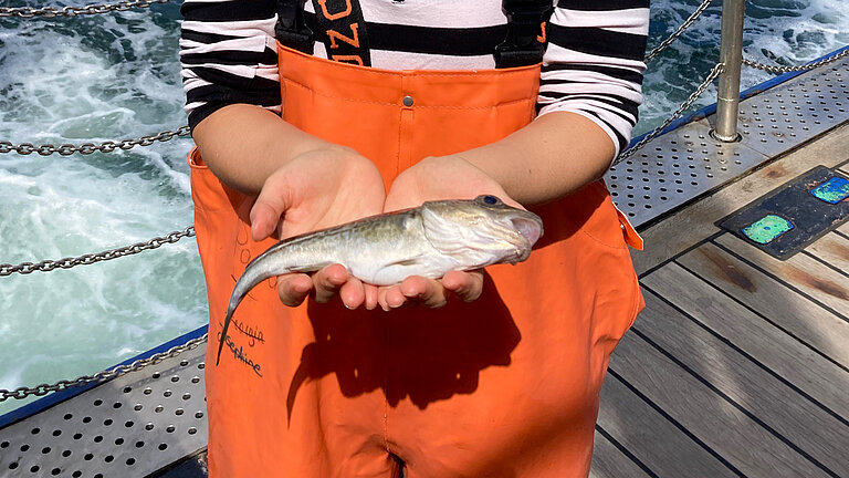 Eine junge Frau mit asiatischen Zügen steht mit einer orangenen Wathose an Bord eines Schiffes und hält einen kleinen Fisch in die Kamera