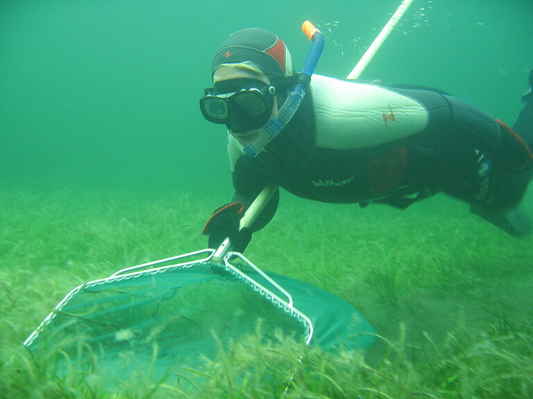 Suche nach Probenmaterial am Meeresboden. Foto. P. Schubert.