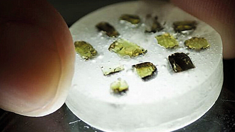 Kleine grüne Kristallstücke auf einem weißen Glasträger unter dem Mikroskop