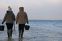 Forschende auf dem Weg durchs Watt vor List, Sylt.