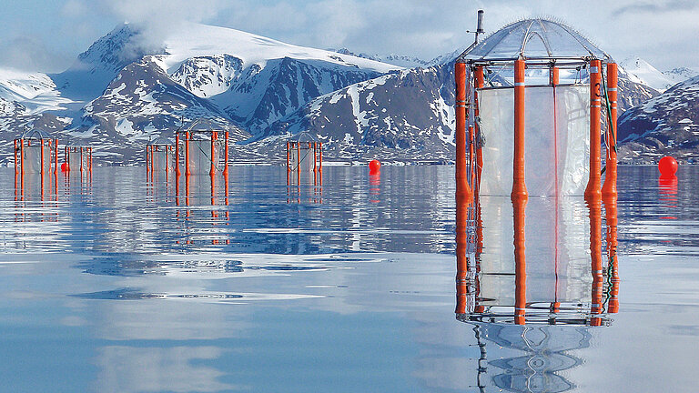 Mesokosmen (orange Stahlrahmen mit transparenten Folien und einen Regenschirmartigen Deckel) schwimmen in einem Fjord mit verschneiten Bergen im Hintergrund