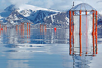 Mesokosmen (orange Stahlrahmen mit transparenten Folien und einen Regenschirmartigen Deckel) schwimmen in einem Fjord mit verschneiten Bergen im Hintergrund