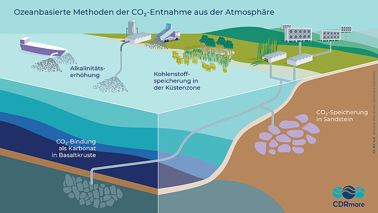 Grafik, die schematisch die verschiedenen Methoden zur CO2-Entnahme mithilfe des Meers zeigt