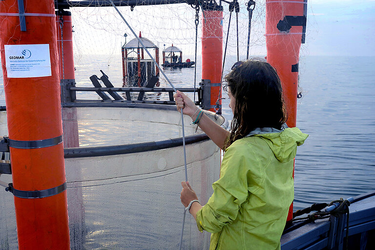 Sampling at a mesocosm. Photo: U. Riebesell, GEOMAR.