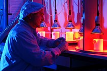 Prof. Dr. Anton Eisenhauer bei Analysen im Reinraumlabor. Foto. S. Kloth, Osteolabs.