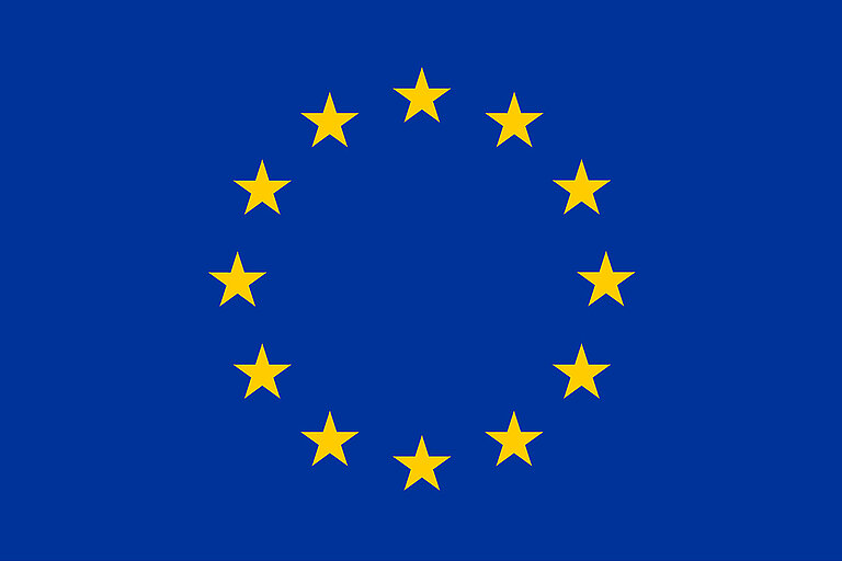 THe EU emblem