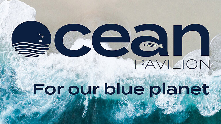 Top view: waves rolling onto the beach, with the Ocean Pavilion logo above