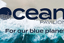 Draufsicht: Wellen laufen auf den Strand, darüber das Logo vom Ocean Pavilion