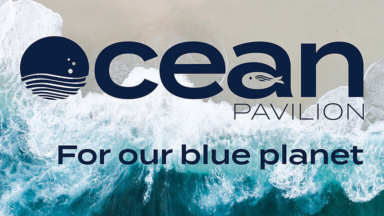 Draufsicht: Wellen laufen auf den Strand, darüber das Logo vom Ocean Pavilion