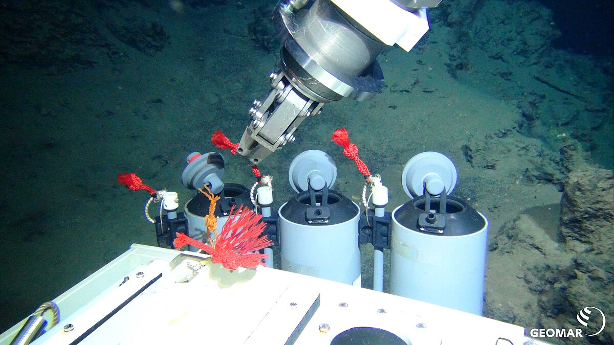 [Translate to English:] Niskin