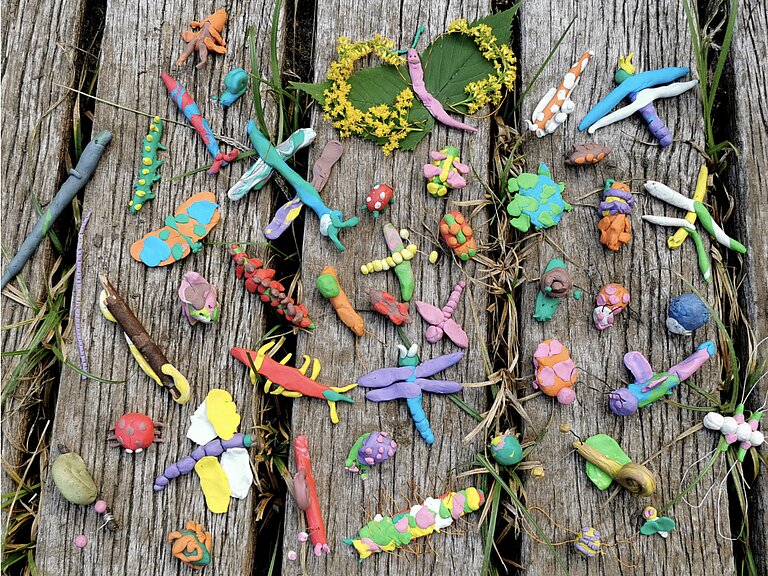 “Geknetete Artenvielfalt” Eichhörnchenklasse (6-10 Jahre)