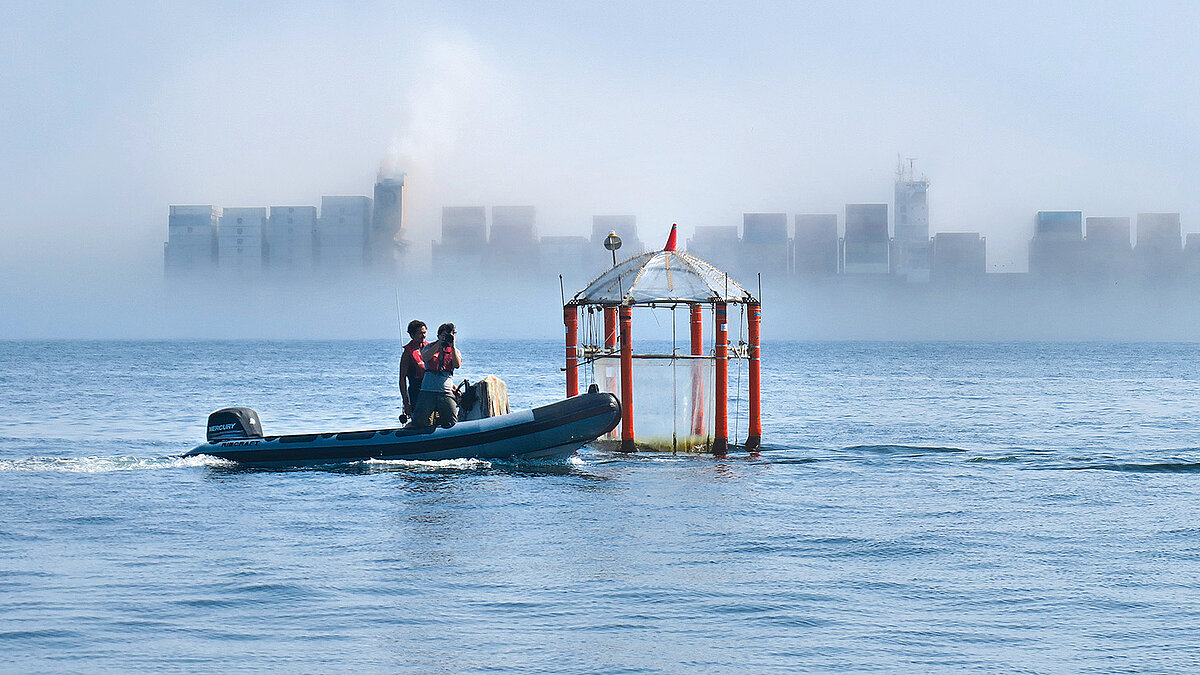 Ein Kieler KOSMOS- Offshore-Mesokosmos an der peruanischen Küste vor Callao. Foto: Ulf Riebesell / GEOMAR