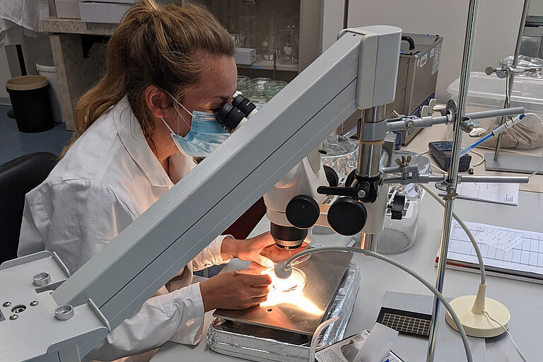 Junge Frau im Labor am GEOMAR.