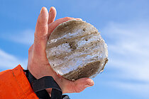 Scheibe aus Eis mit Sediment