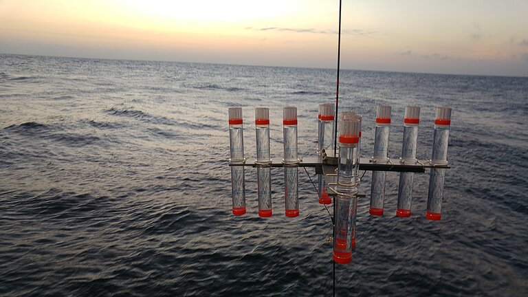 Ein Forschungsgerät (Sinkstofffalle) an einer Leine