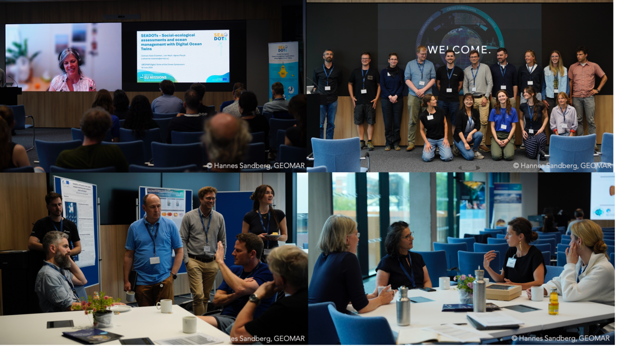 Bilder von Hannes Sandberg