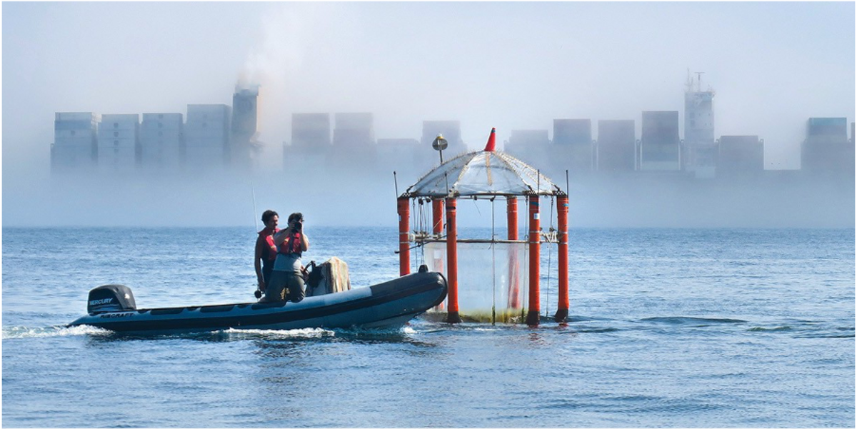 Umweltüberwachung und -management