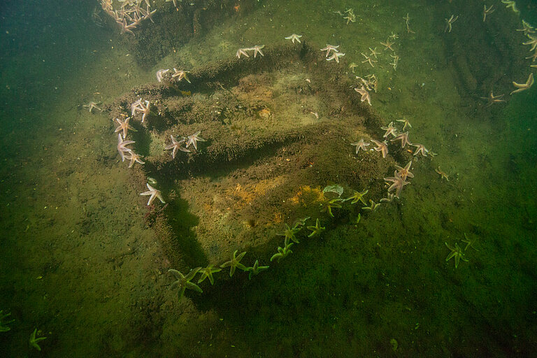 Munition am Ostseeboden. Foto: GEOMAR