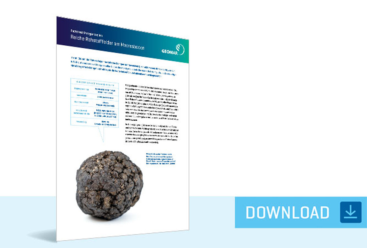 Factsheet Manganknollen - Reiche Rohstofffelder am Meeresboden