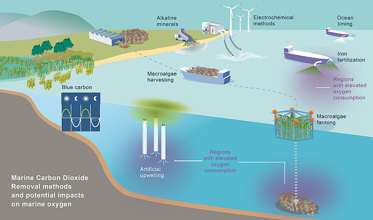 Diagram showing the various mCDR methods and their effects on the oxygen content in the ocean