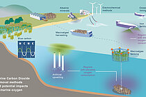 Diagram showing the various mCDR methods and their effects on the oxygen content in the ocean