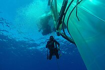 Next to a mescocosmo a diver sinks in clear blue water into the depths. Photo: Michael Sswat/GEOMAR