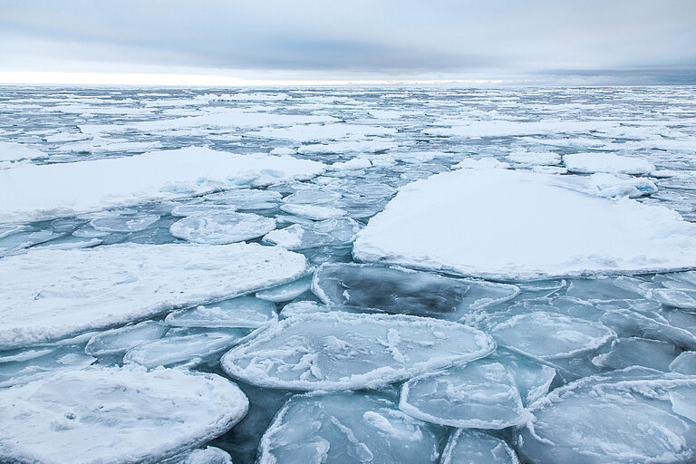 Bordwand der POLARSTERN und runde Meereisschollen. Foto: Jonas Hagemann 