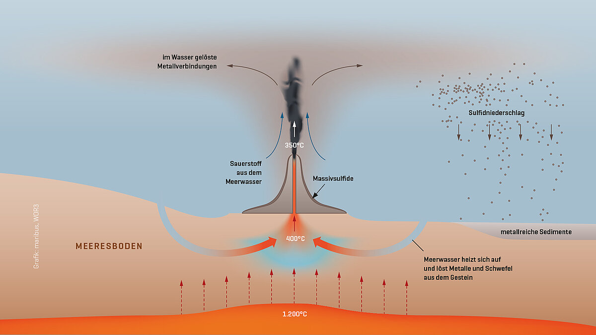 Entstehung von Massivsulfiden an schwarzen Rauchern