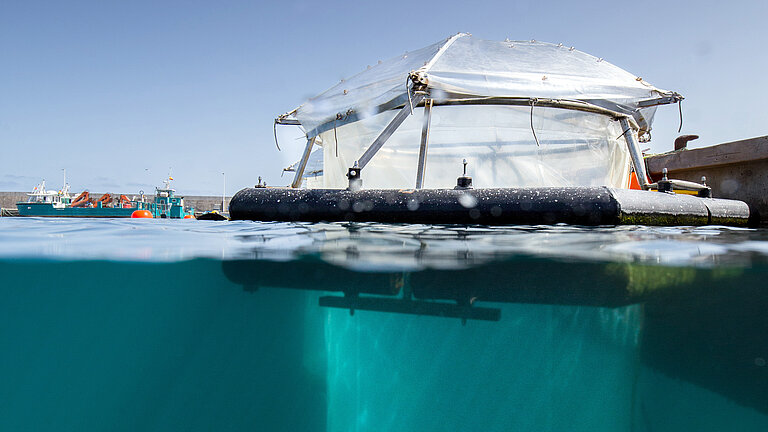 Mesokosmen auf Helgoland