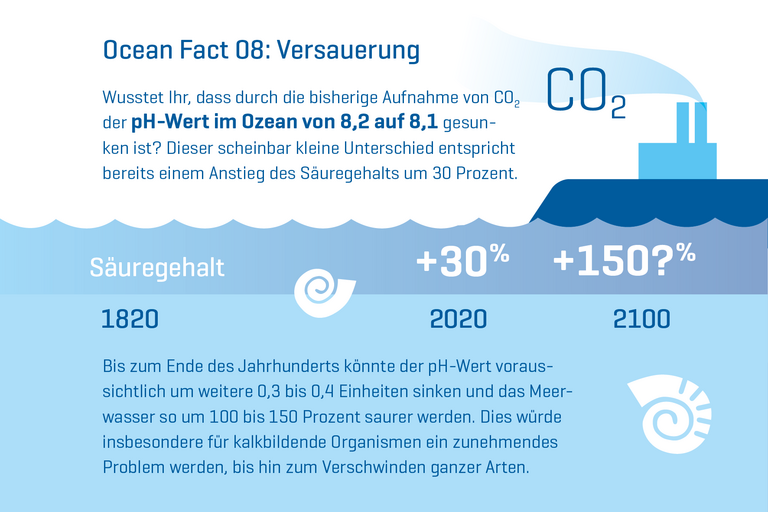 Wusstet Ihr, dass durch die bisherige Aufnahme von CO2 der pH-Wert im Ozean von 8,2 auf 8,1 gesunken ist? Dieser scheinbar kleine Unterschied entspricht bereits einem Anstieg des Säuregehalts um 30 Prozent. Bis zum Ende des Jahrhunderts könnte der pH-Wert voraussichtlich um weitere 0,3 bis 0,4 Einheiten sinken und das Meerwasser so um 100 bis 150 Prozent saurer werden. Dies würde insbesondere für kalkbildende Organismen ein zunehmendes Problem werden, bis hin zum Verschwinden ganzer Arten.