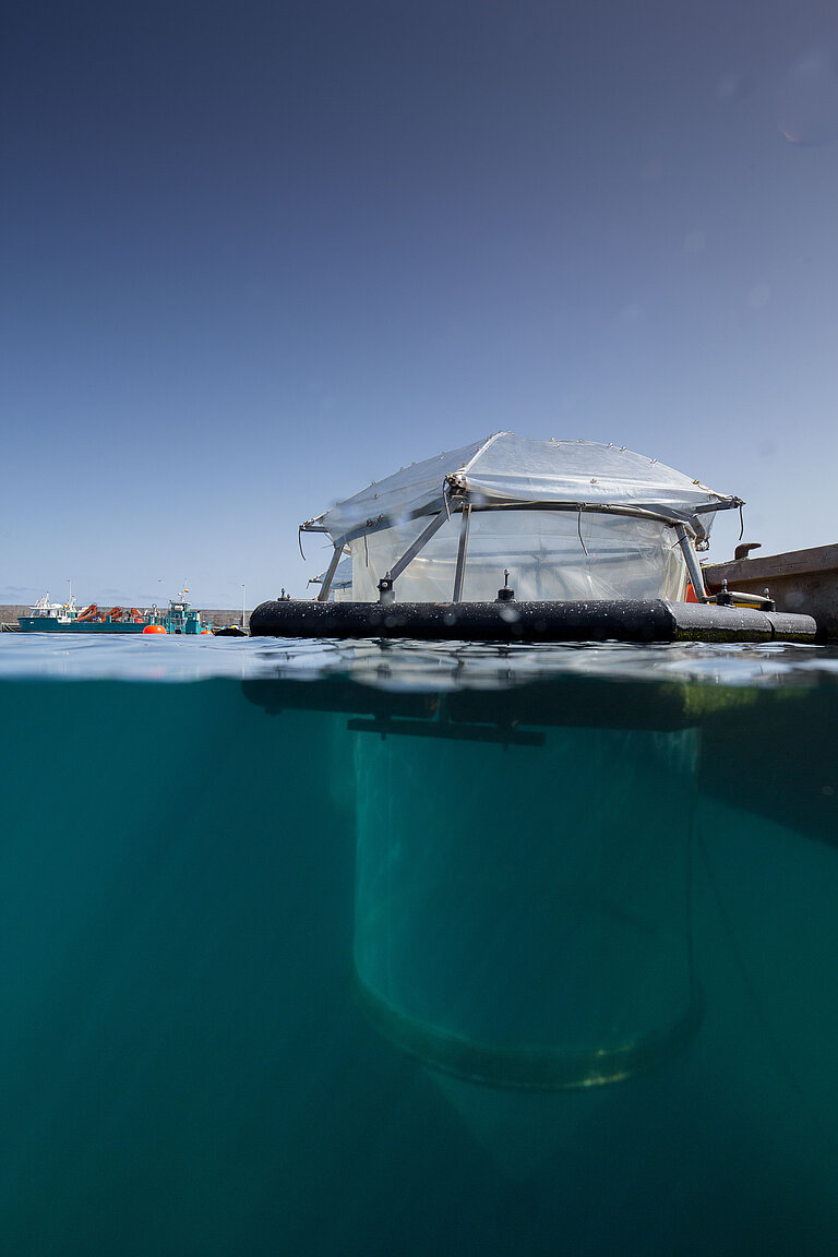 Ein transparenter Kunststoffschlauch oder -sack hängt im Wasser, über Wasser sieht man das Gestell, das ihn hält