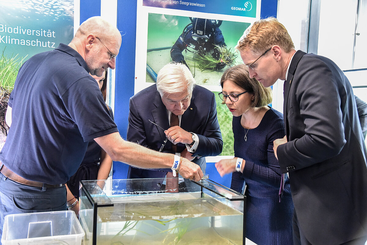 Besuch Bundespräsident Steinmeier, Ministerpräsident Günther, Direktorin Matthes