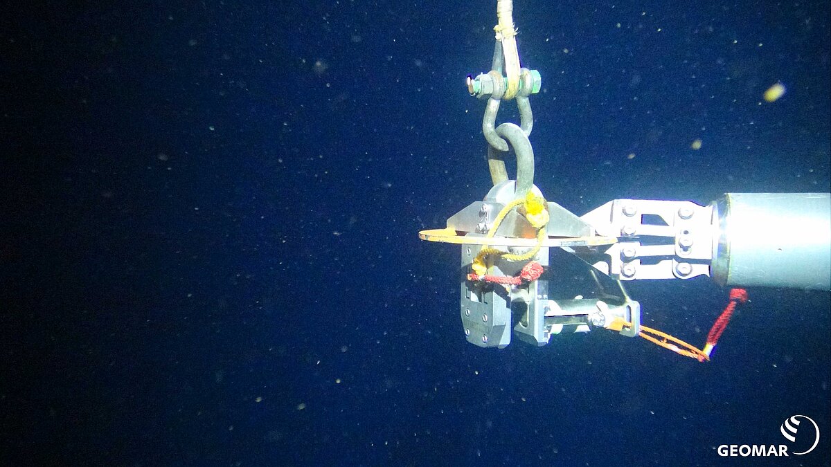 ORION greift Schäkel