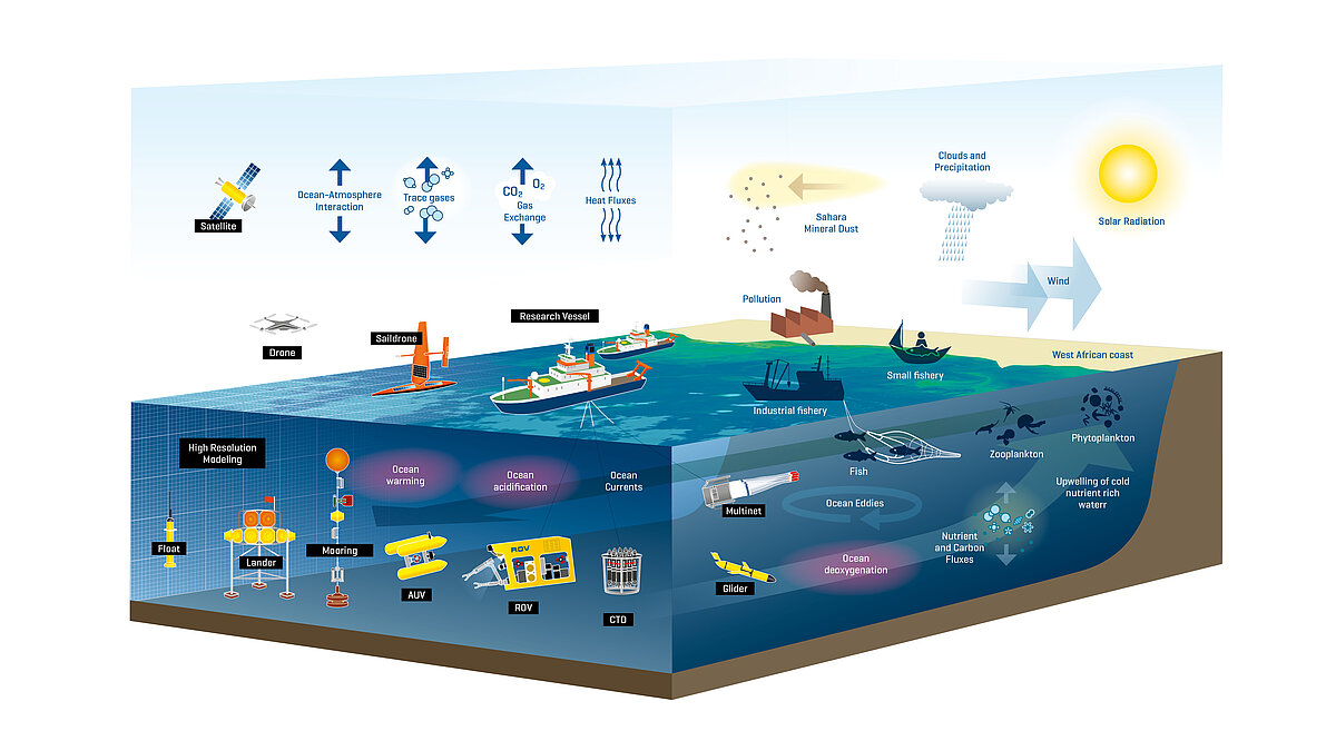 Observation platforms together with physical and biogeo­chemical processes and food chain components as part of the FUTURO campaign