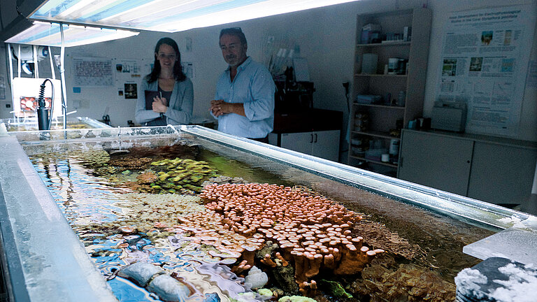 A tropical reef in the Kiel Fjord