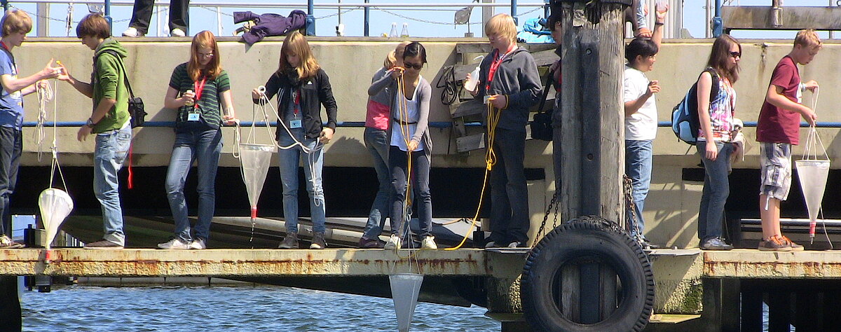 Banner: Planktonfischen an der Pier