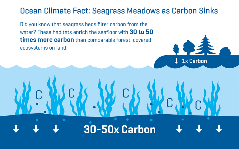Visual Ocean Climate Fact 08