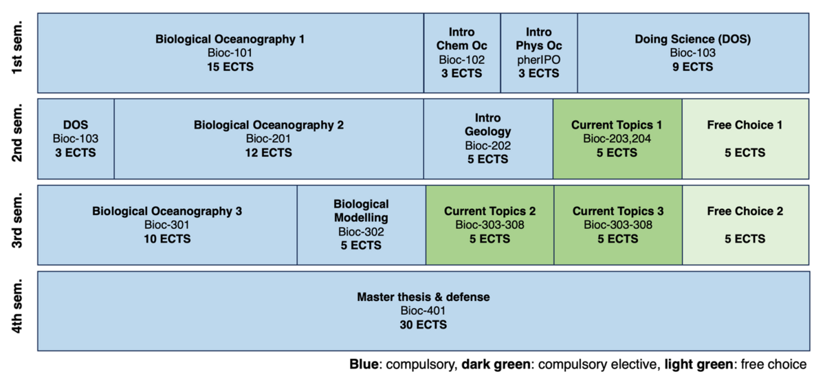 Schematic Curriculum MSc