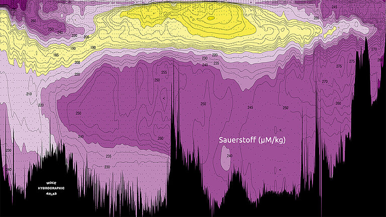 Grafik: Schnitt durch den Atlantik von 54 Grad Süd bis 64 Grad Nord mit Daten zum Sauerstoffgehalt der WOCE Sektion A16.