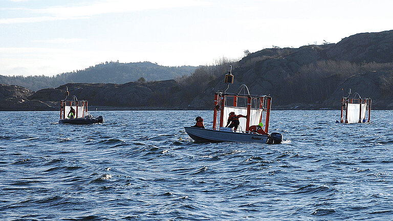 2013, Gullmarfjord, Schweden: Mit einer Dauer von fünf Monaten war die Studie im Gullmarfjord die bisher längste und aufwändigste.