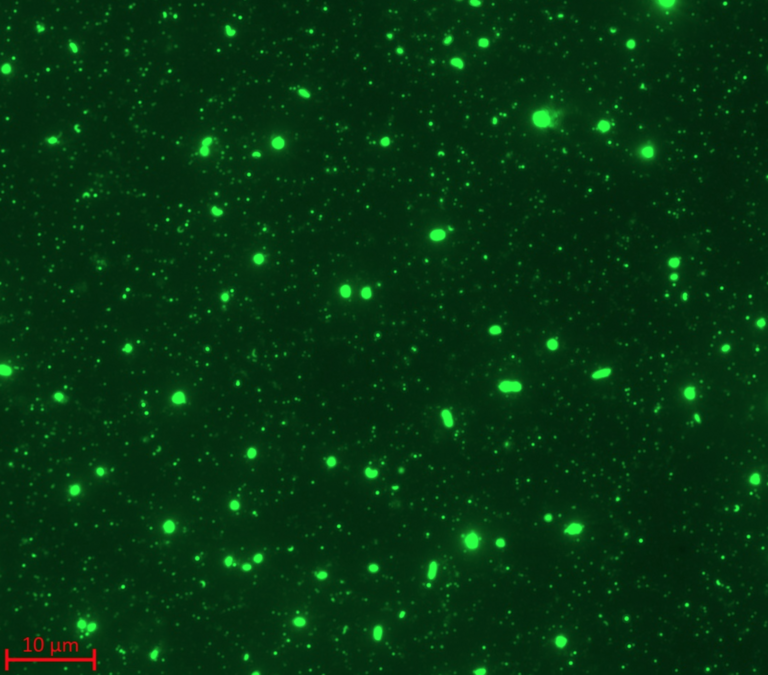 Kleine leuchtend grüne Punkte auf schwarzem Grund