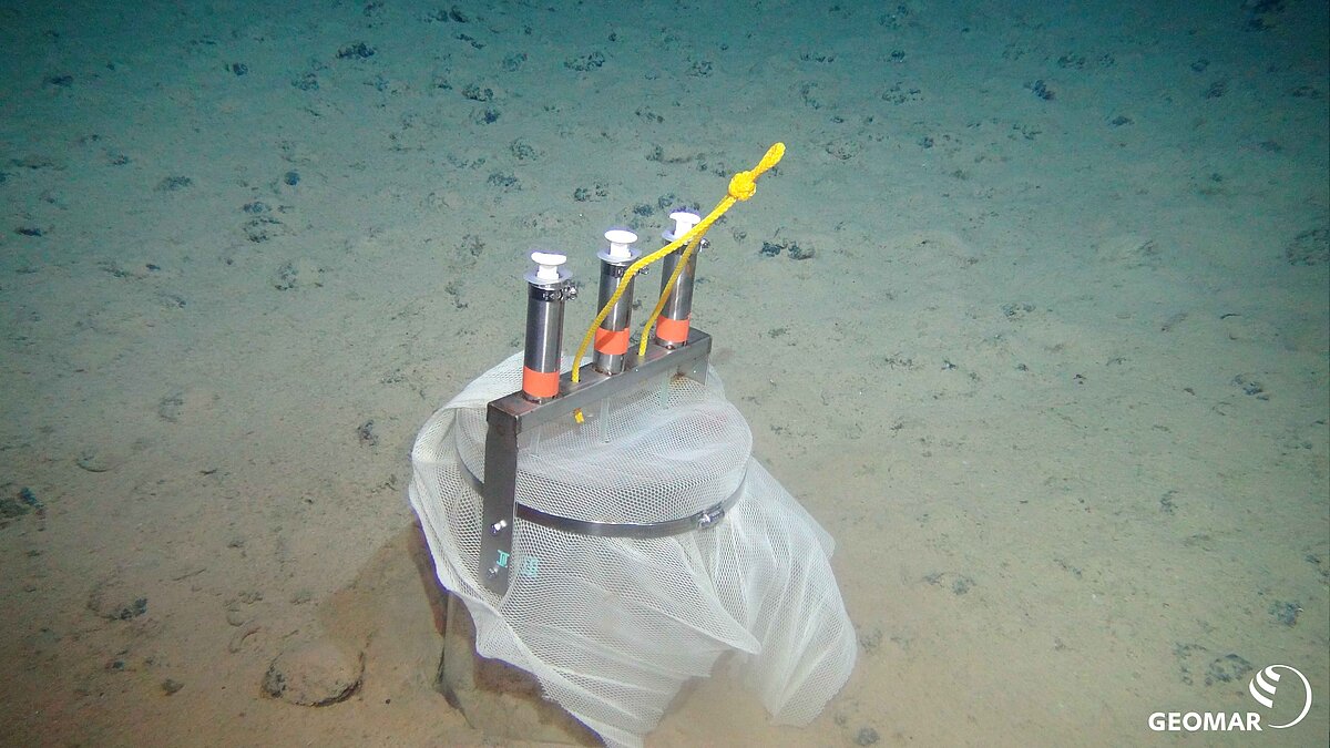 Incubation experiment