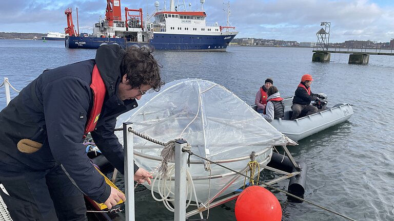 Die Mesokosmen werden an der Pier vor dem Kieler Aquarium verankert.