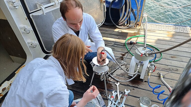 Personen untersuchen Proben von Seegras