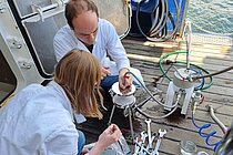 Personen untersuchen Proben von Seegras