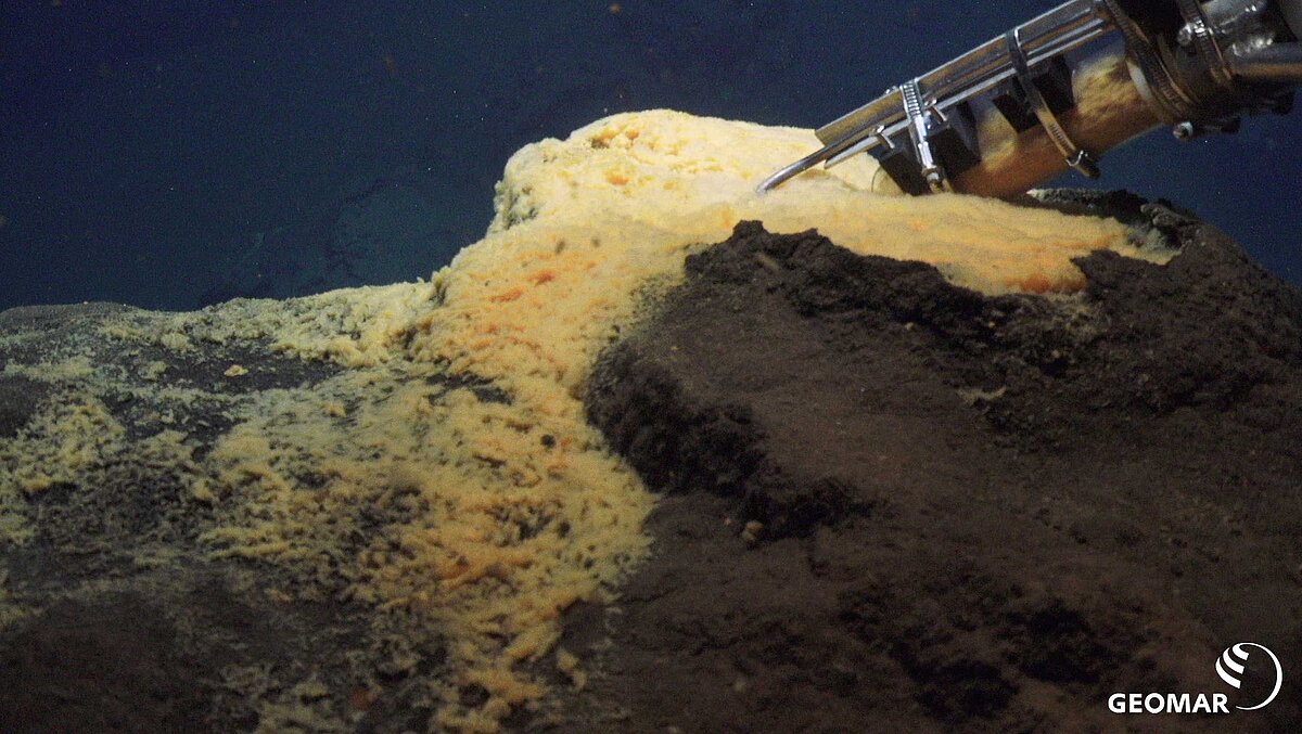 [Translate to English:] Microbial Mat