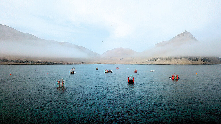 2020, Callao, Peru: Im Rahmen des Projekts REEBUS wurde diesmal untersucht, wie sich die extrem produktiven Küstenauftriebsgebiete an den östlichen Ozeanrändern durch den Klimawandel verändern.