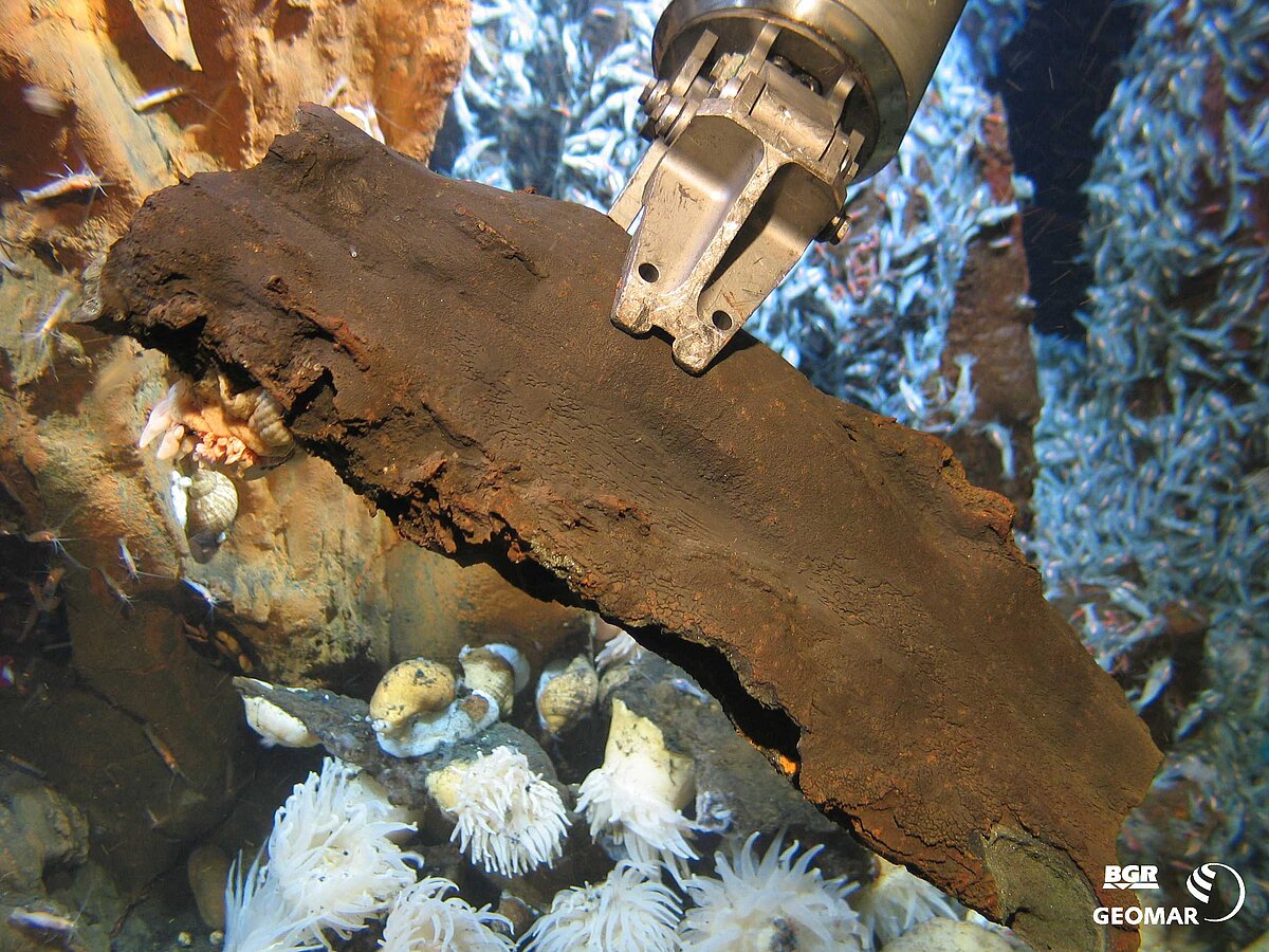 Fragment eines inaktiven Sulfidschlotes (2460 m).